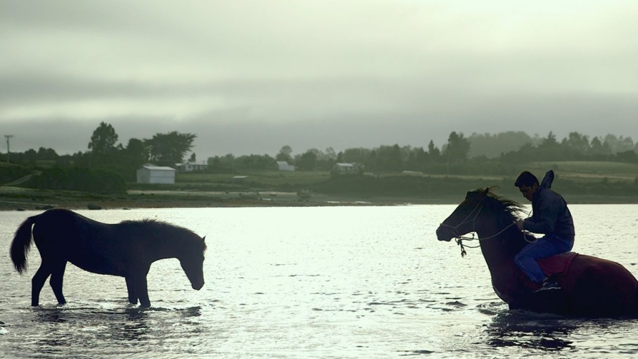 El viento sabe que vuelvo a casa CCN