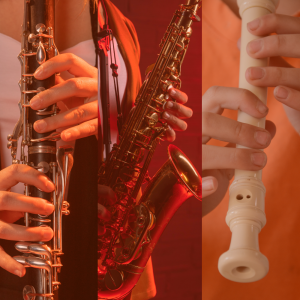 FLAUTA DULCE / FLAUTA TRAVERSA / SAXOFÓN