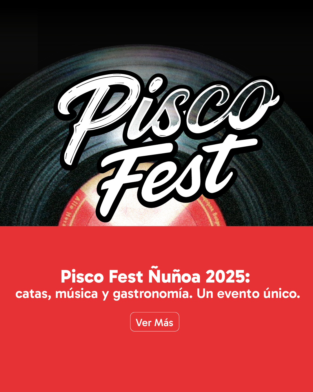 web_banner_vertical_pisco (1)
