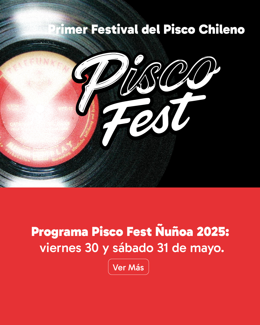web_banner_vertical_piscoprograma