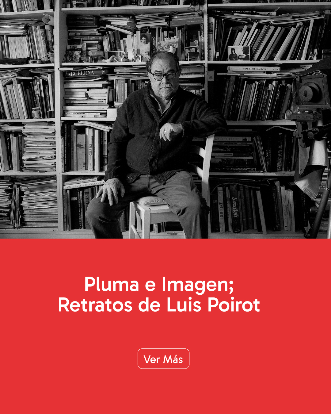 web-luis-poirot-vertical