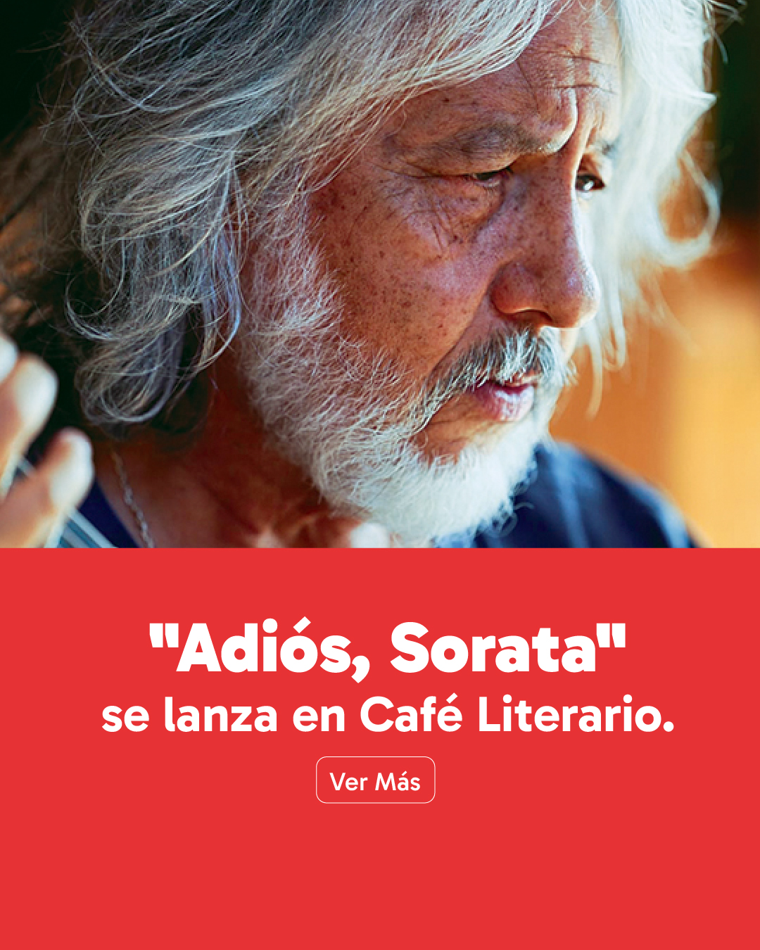 web_banner_vertical_adios,sorata