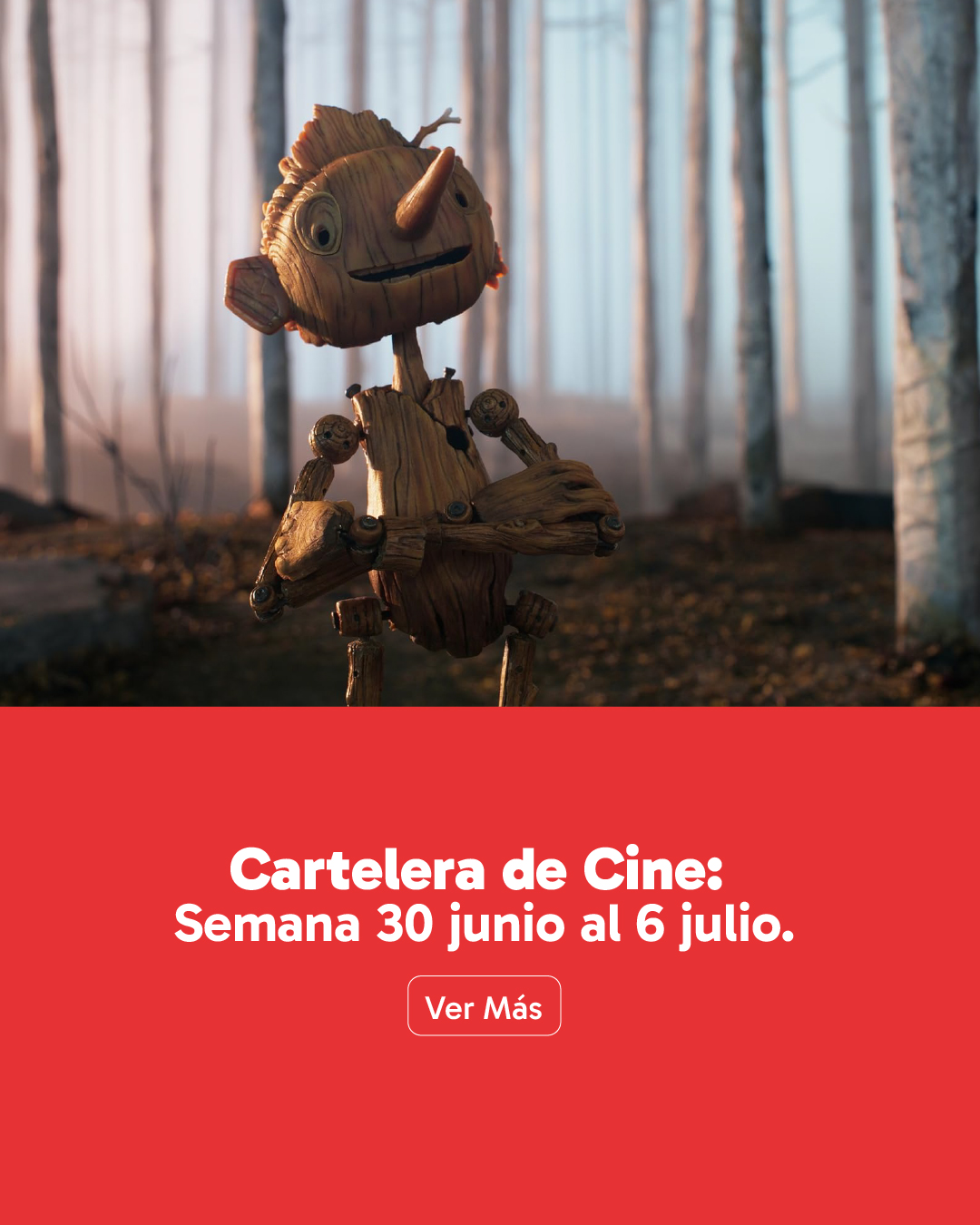 web_banner_vertical_cartelerajulio1