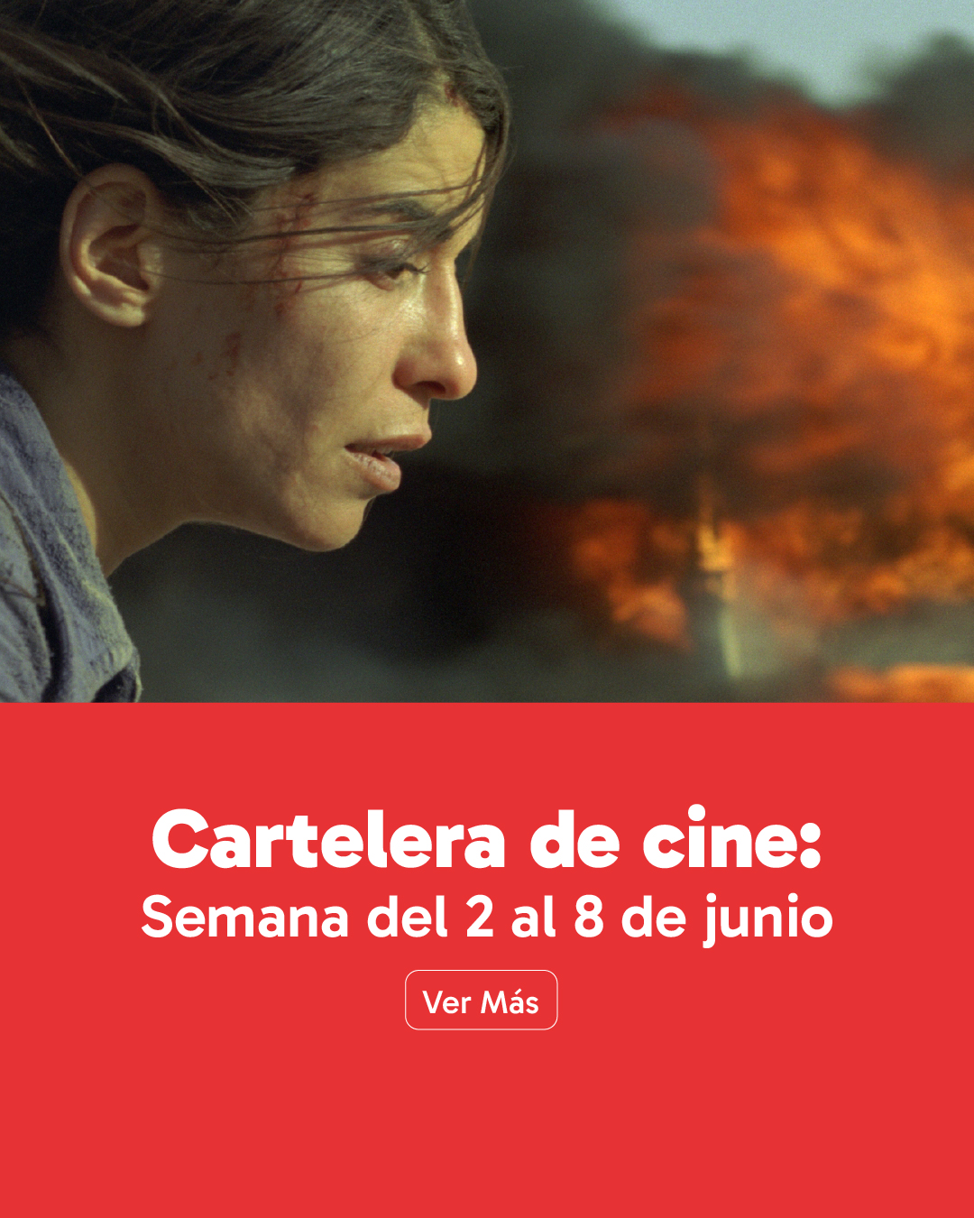 web_banner_vertical_cartelerajunio