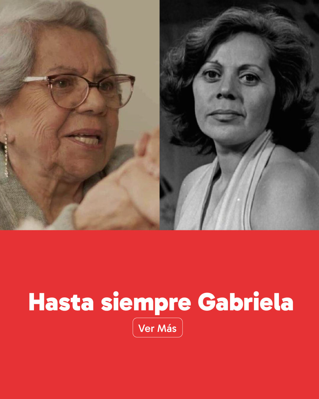 web_banner_vertical_gabriela_