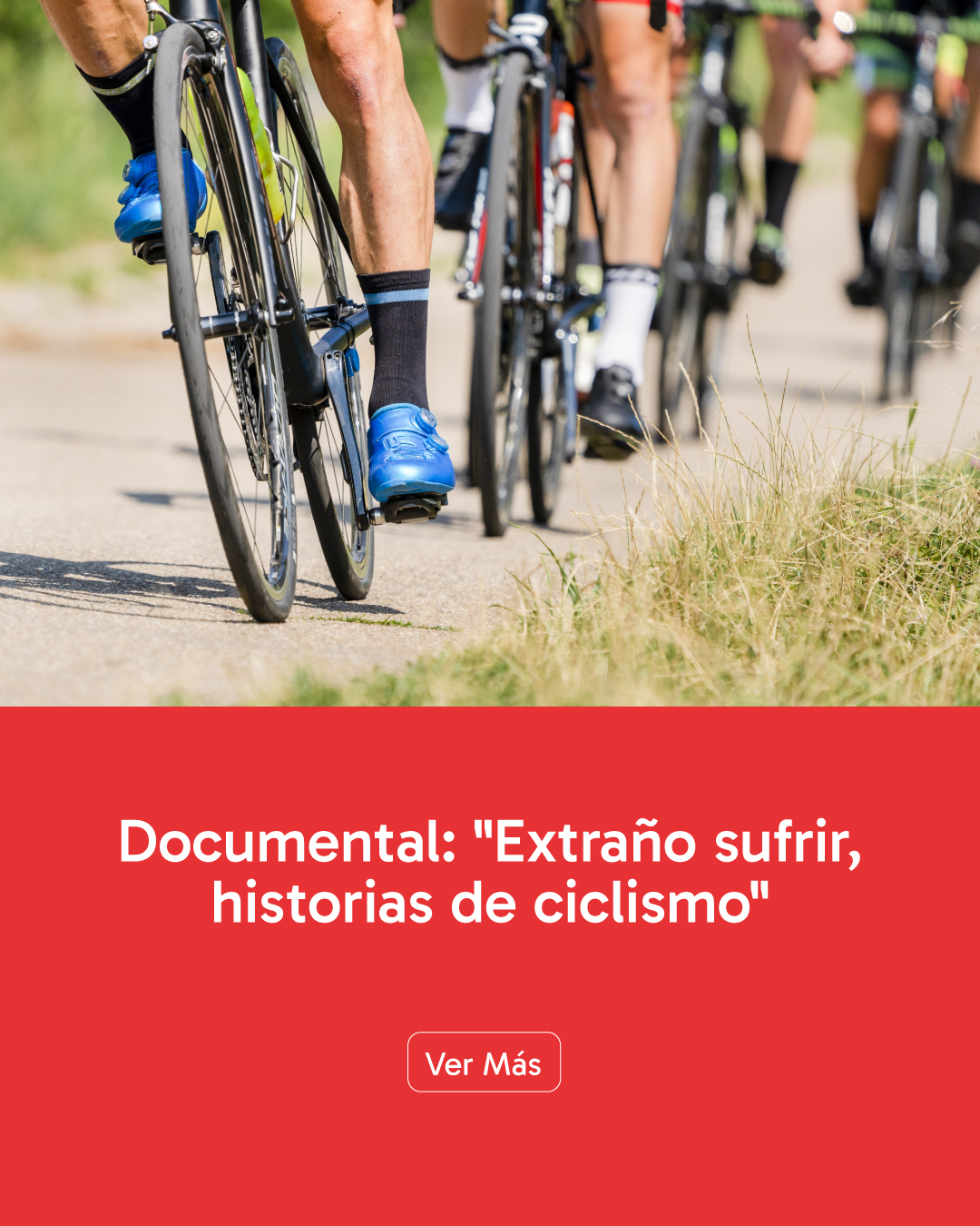 web-documental-vertical